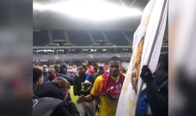 Lille Golden Lion